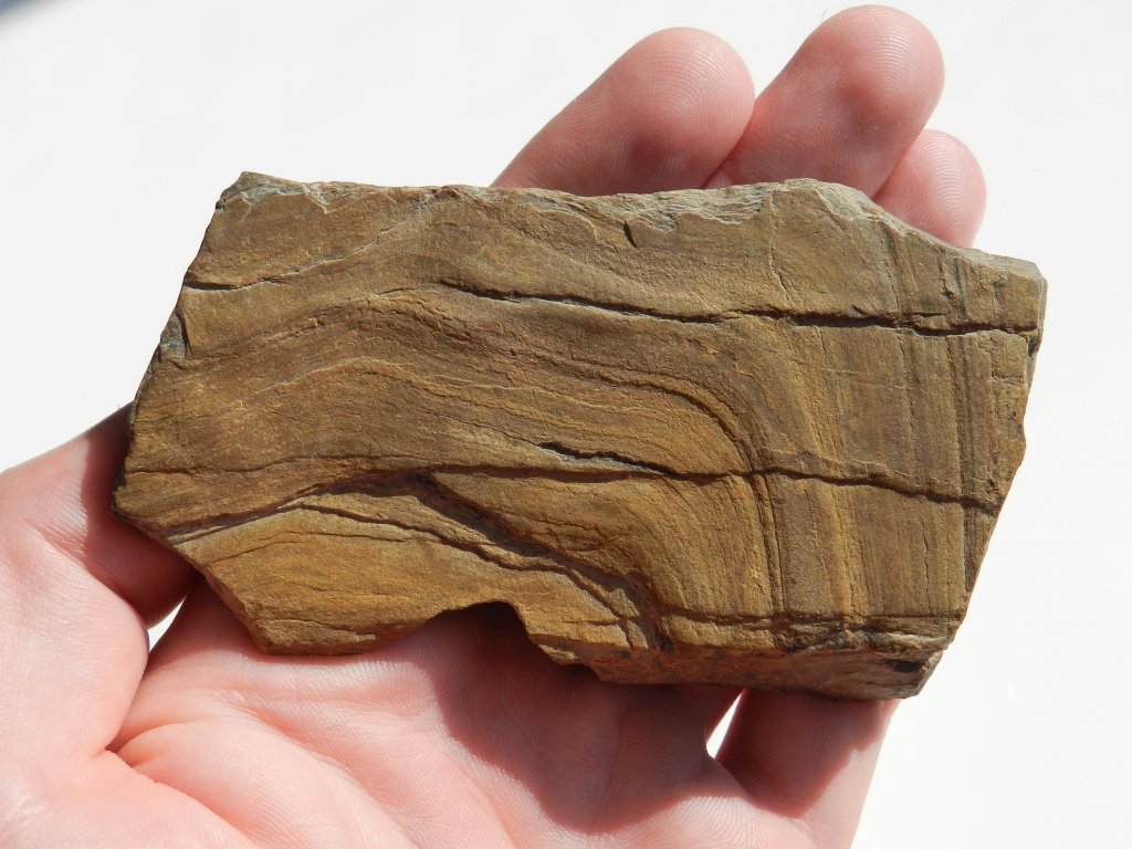 Fosilní zkamenělé dřevo - Líně u Plzně - využití, použití, užití